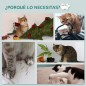 Árbol para Gatos Árbol para Gatos
