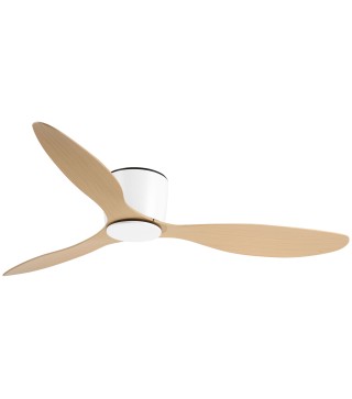 Ventilador de Techo