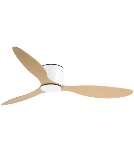 Ventilador de Techo