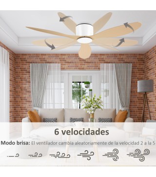 Ventilador de Techo