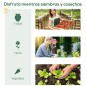 Invernadero de Jardín con 4 Estantes Metálicos Puerta Enrollable y Cubierta de PE Vivero Casero de Terraza para Cultivo Plantas
