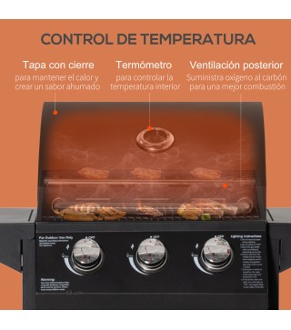 Barbacoa de Gas