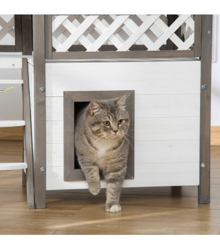 Caseta para Gatos