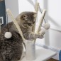 Árbol para Gatos