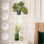 Decoración Pared Metálica Decoración Pared Metálica