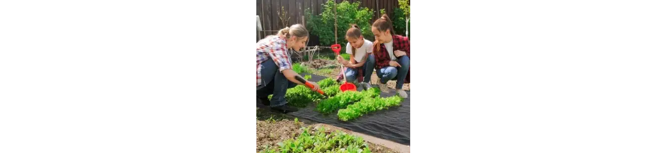 Mallas antihierbas para jardín y huerto | Nocta