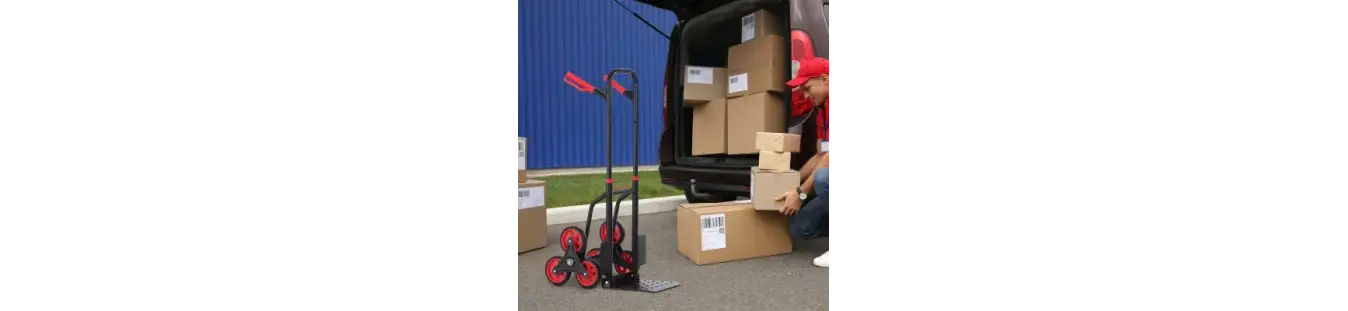 Carros y carretillas para transporte profesional y doméstico