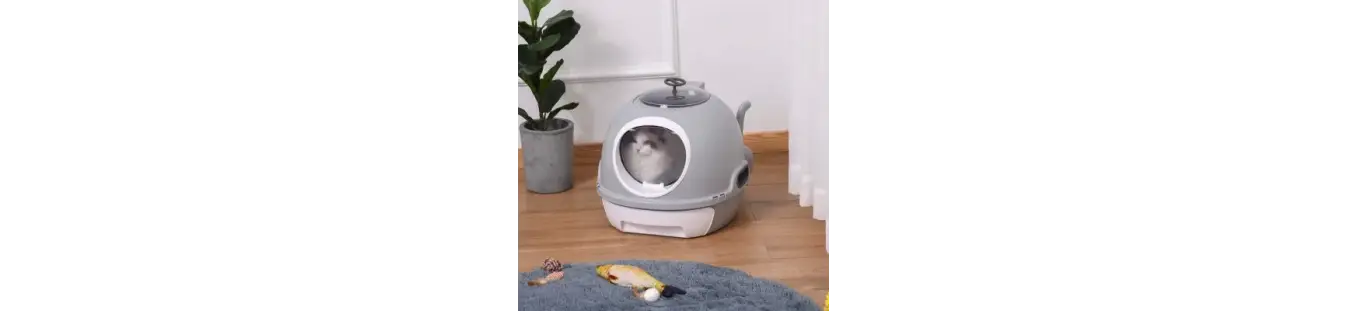 Areneros para gatos higiénicos y funcionales