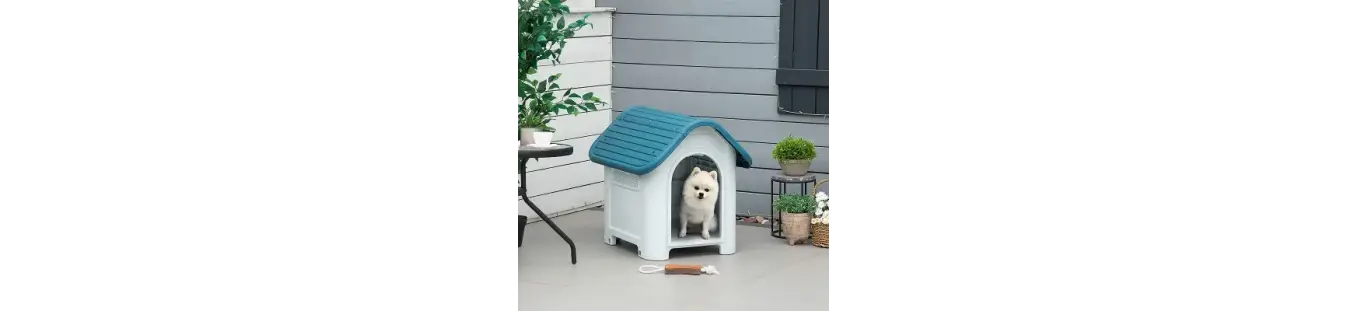 Accesorios para perros prácticos y resistentes