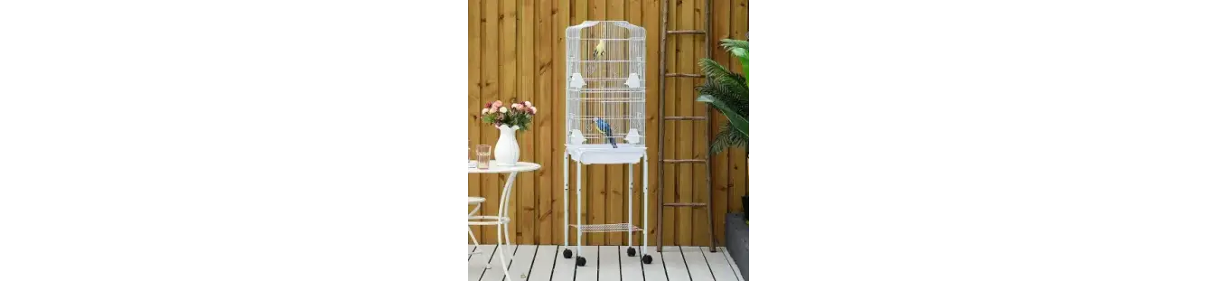 Accesorios para pájaros prácticos y funcionales