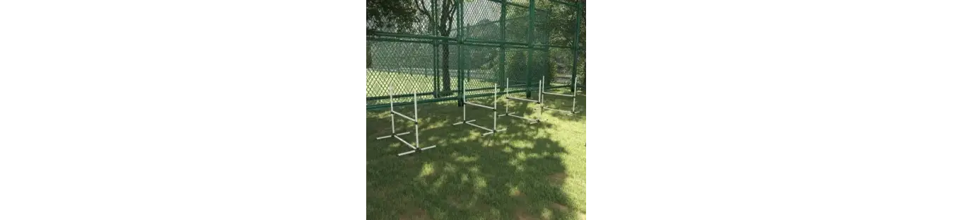 Agility para perros: juego y entrenamiento activo