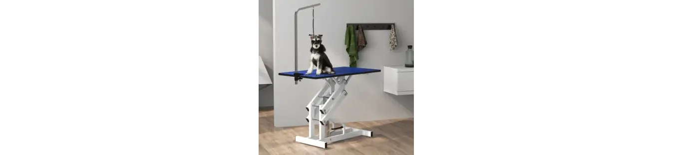 Cuidados y aseo para mascotas: higiene y bienestar diario