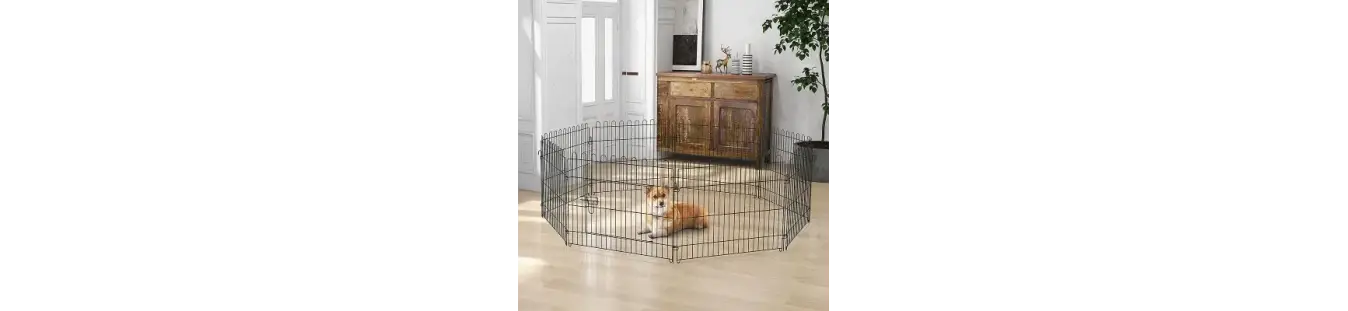 Parques para perros seguros y funcionales