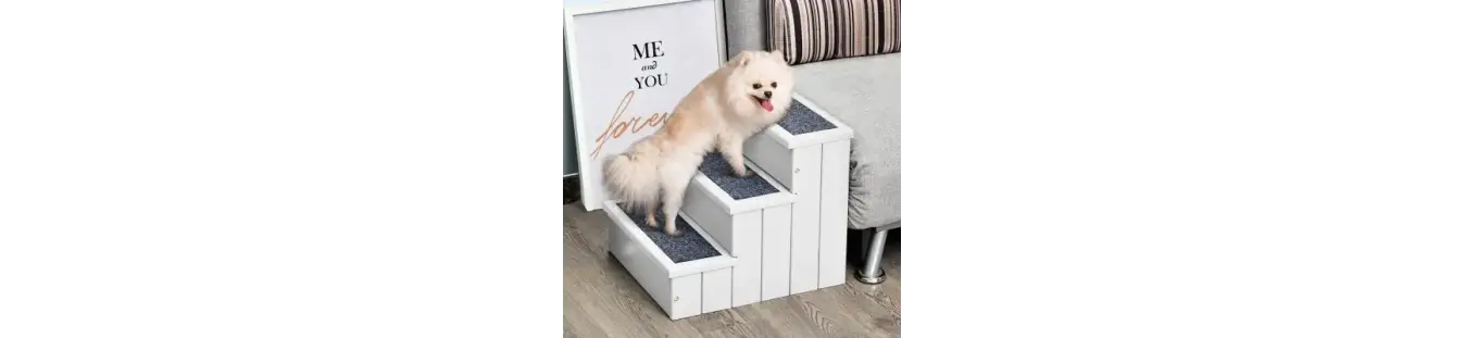 Escaleras y rampas para perros seguras y funcionales