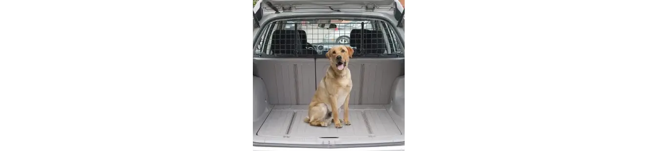 Viajar con perros cómodo y seguro