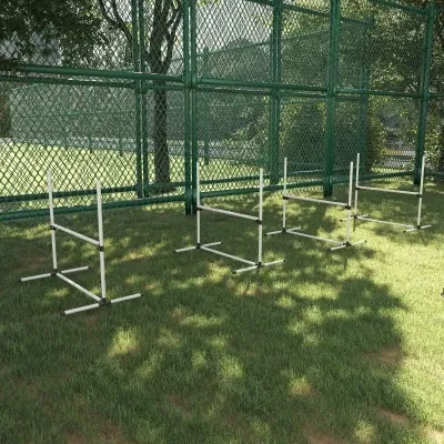 Agility para perros