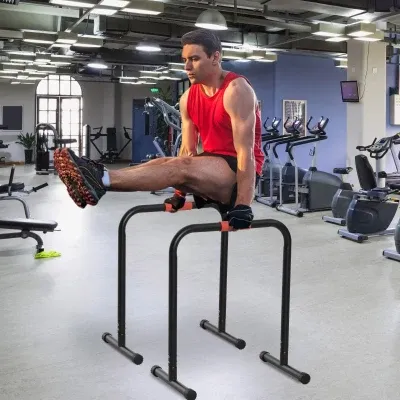 Barras de dominadas y flexiones